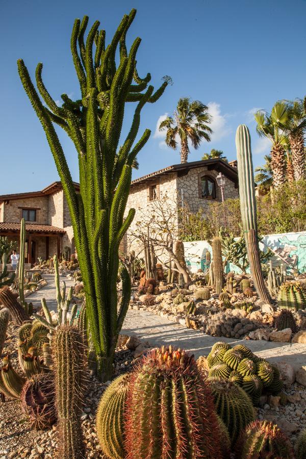 Garden Cactus Guest House Villaggio Mose  Bagian luar foto
